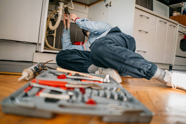 Best Local Plumber Services  in Frankl, IN
