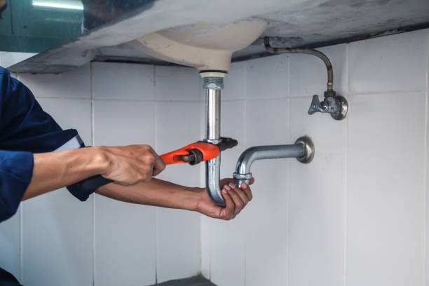Best Local Plumber Services  in Frankl, IN