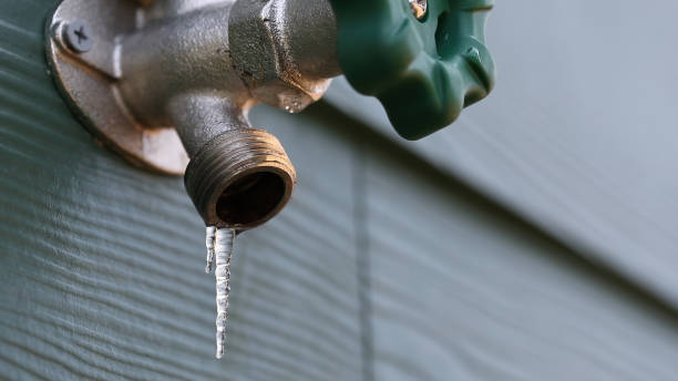 Best Drain Cleaning Services  in Frankl, IN